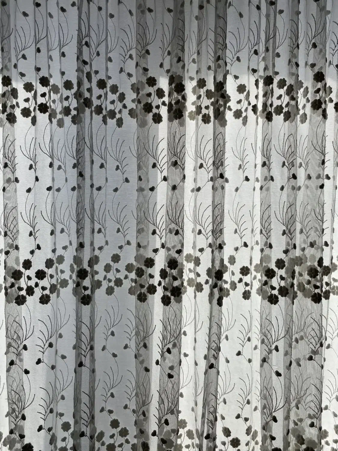 پرده|پرده، رانر، رومیزی|پاکدشت, پاکدشت (مامازند)|دیوار