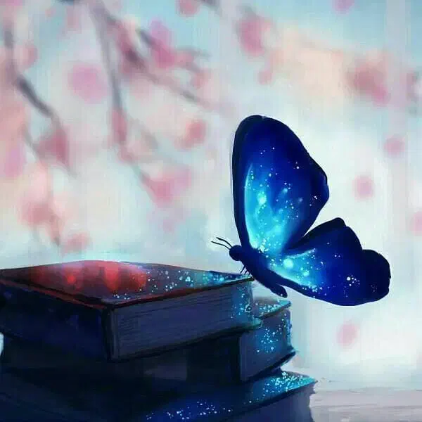 استخاره وغیره|خدمات پذیرایی، مراسم|شیرود, |دیوار