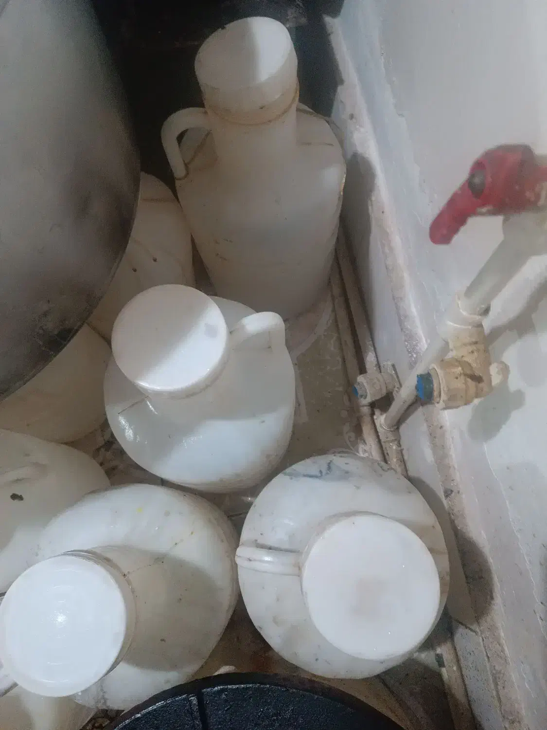 دبه|ظروف نگهدارنده، پلاستیکی، یکبارمصرف|مشهد, نوید|دیوار