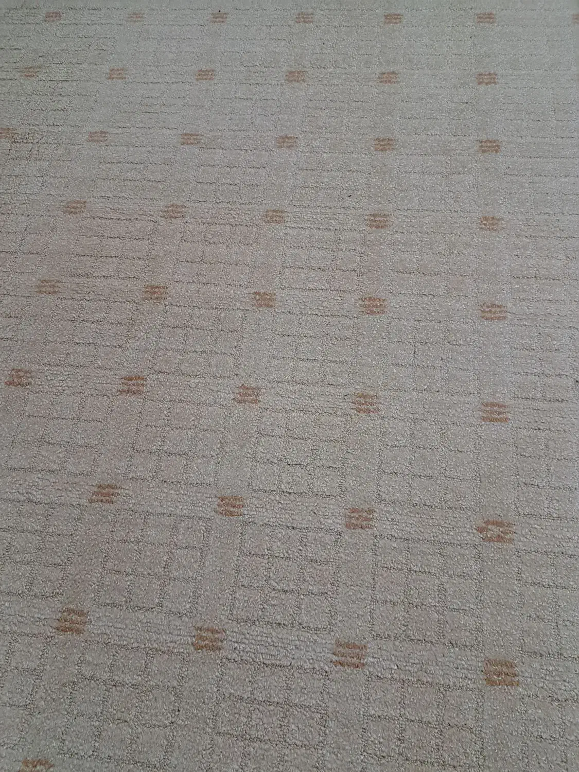 موکت پالاز|موکت|قم, پردیسان|دیوار