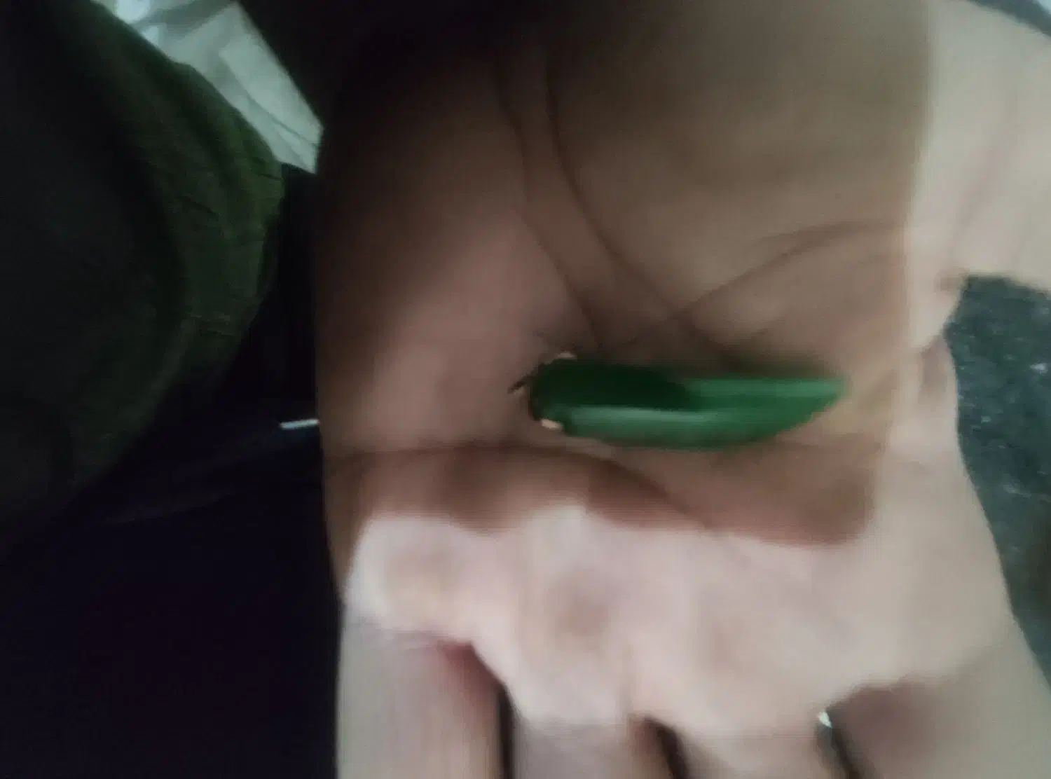 سنگ یشم|جواهرات|کرج, چهارصد دستگاه|دیوار