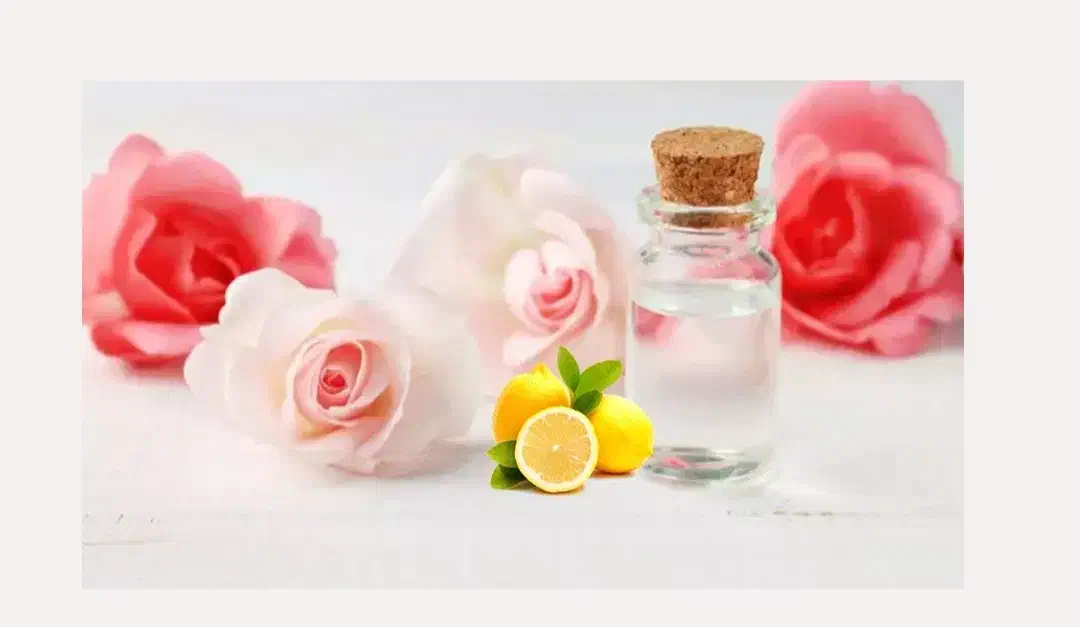 محصولات مراقبتی ارگانیک|آرایشی، بهداشتی، درمانی|قم, در بهشت|دیوار