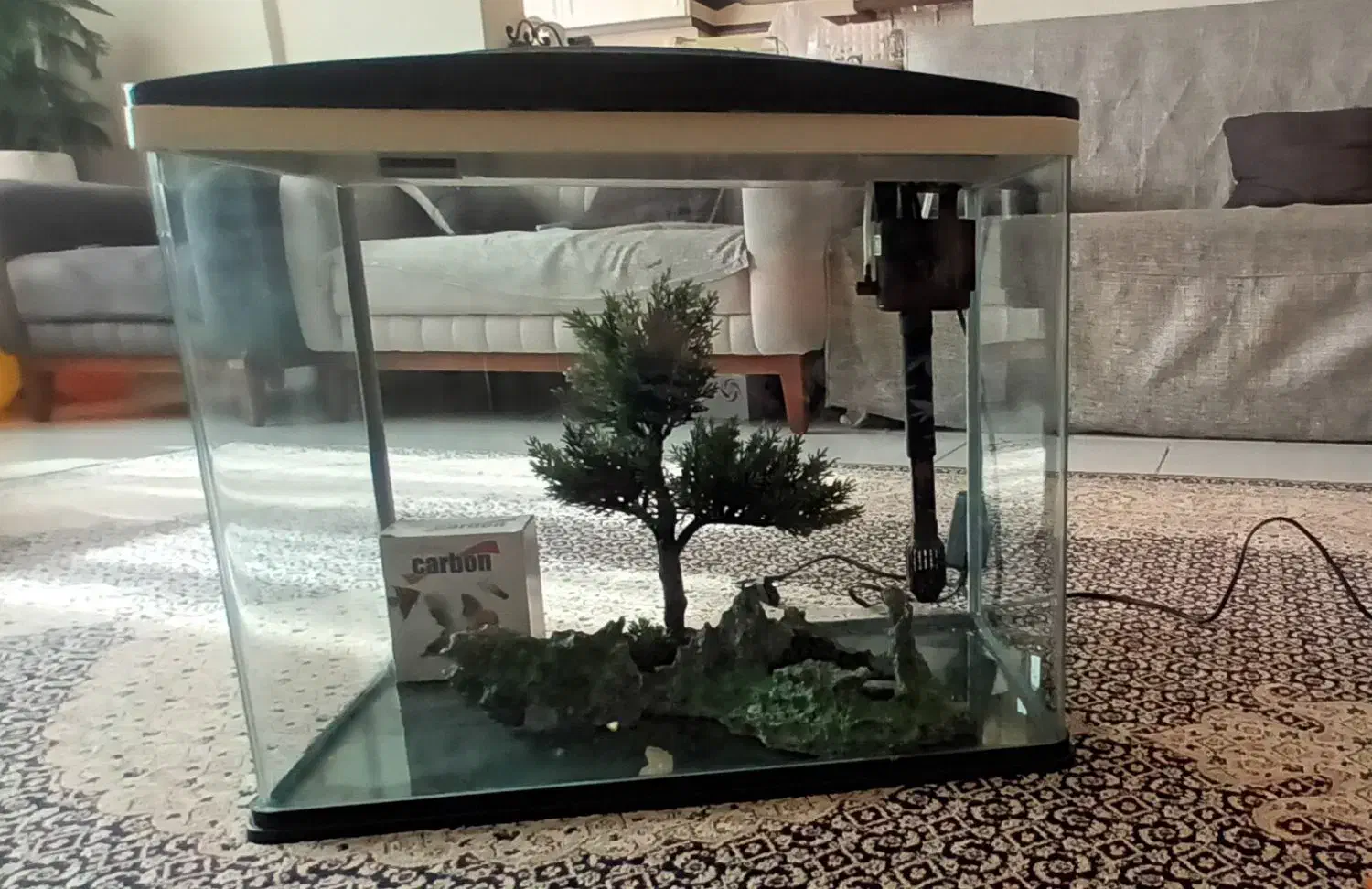 آکواریوم ماهیران|ماهی|پرند, فاز ۶|دیوار