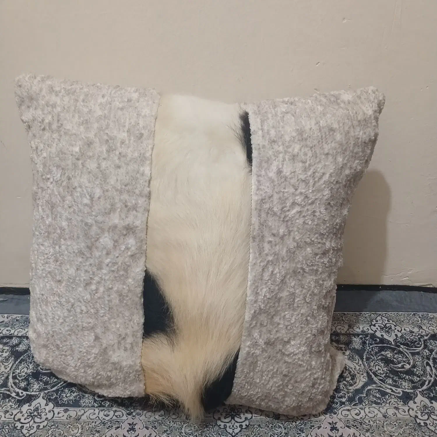 کوسن‌مبل|رختخواب، بالش، پتو|مشهد, اروند (کشف)|دیوار