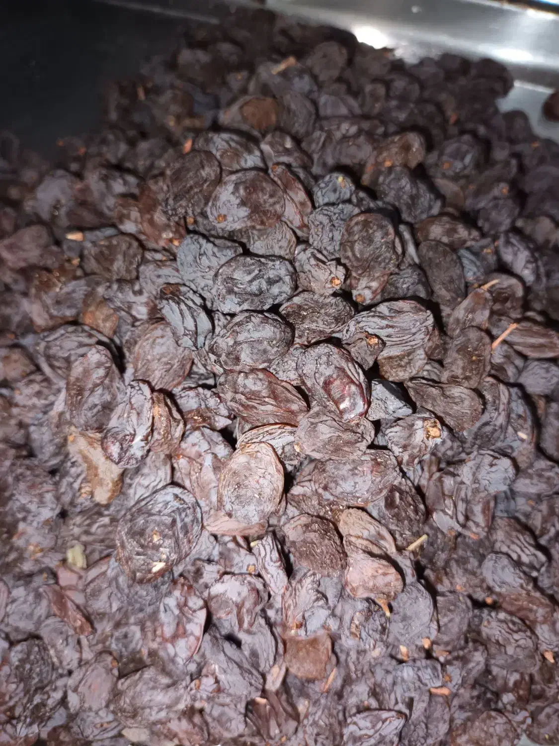 کشمش آفتابی|خوردنی و آشامیدنی|ساوه, |دیوار