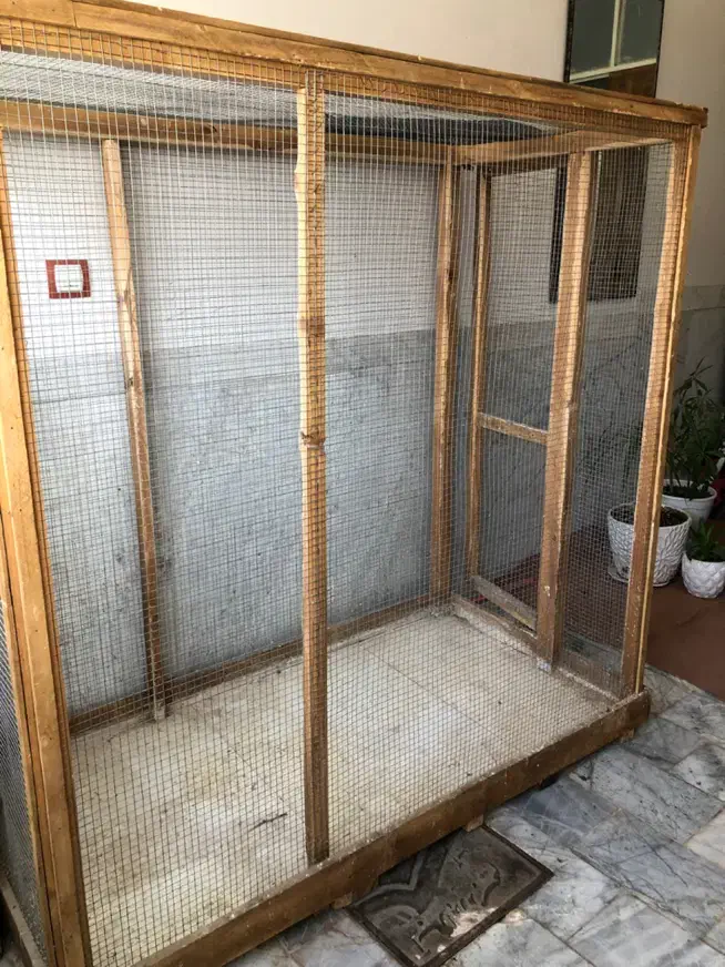 قفس بزرگ|لوازم جانبی حیوانات|تربت جام, جامی|دیوار