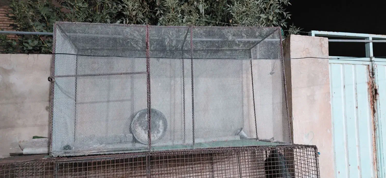 قفس پرنده|لوازم جانبی حیوانات|آبدانان, |دیوار