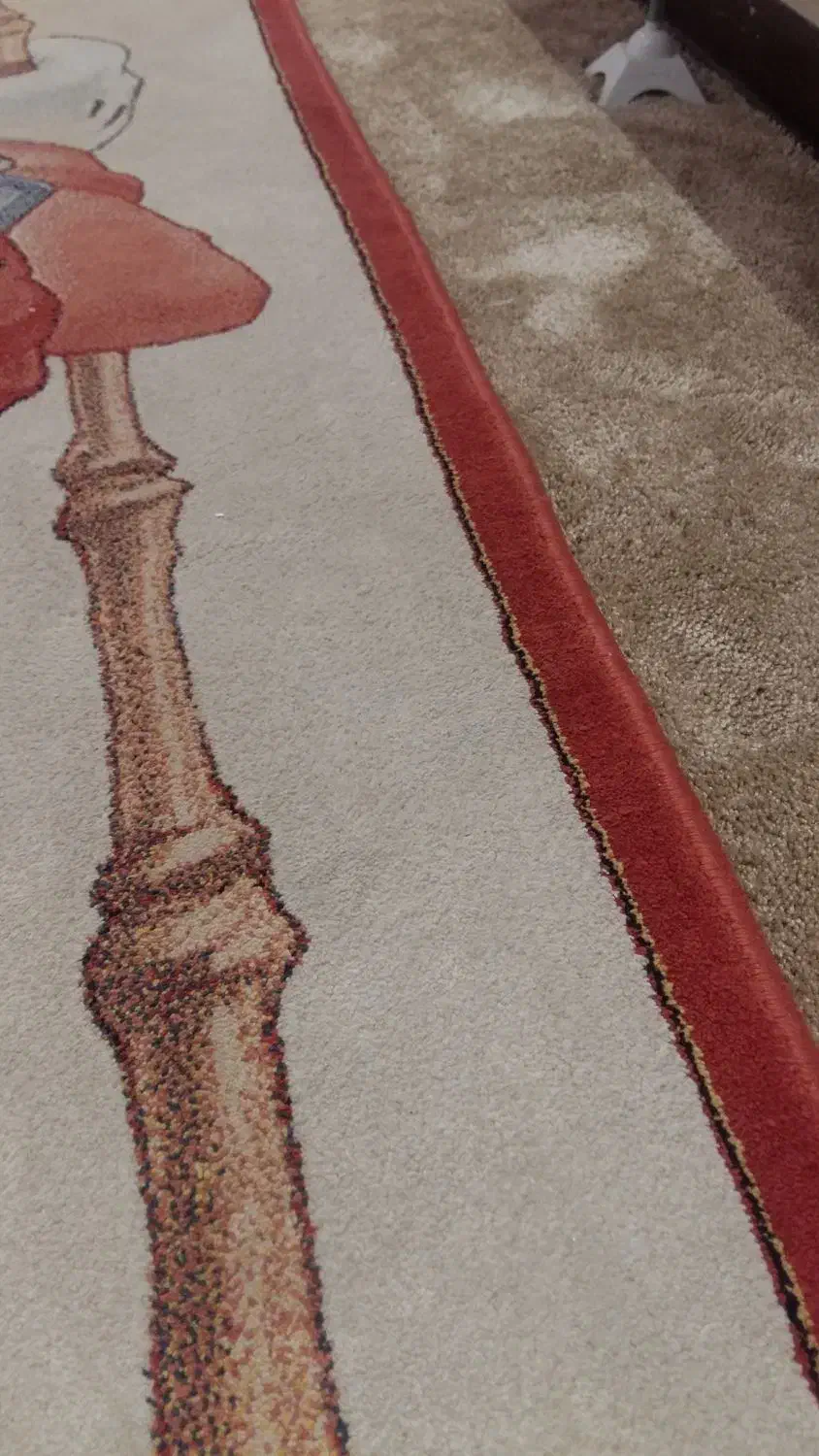 فرش 4 متری پسرونه|فرش|کرج, حیدرآباد|دیوار