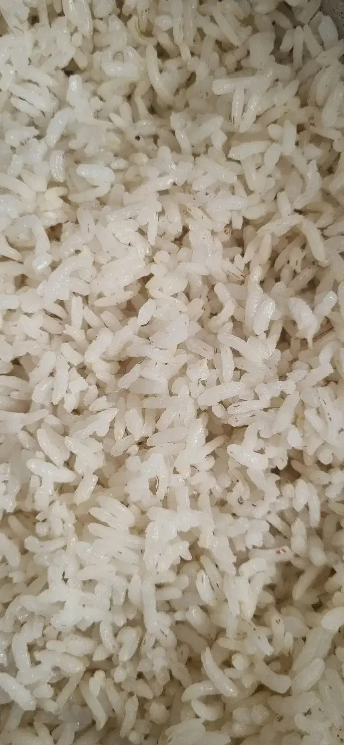 برنج عنبربو|خوردنی و آشامیدنی|ایلام, |دیوار