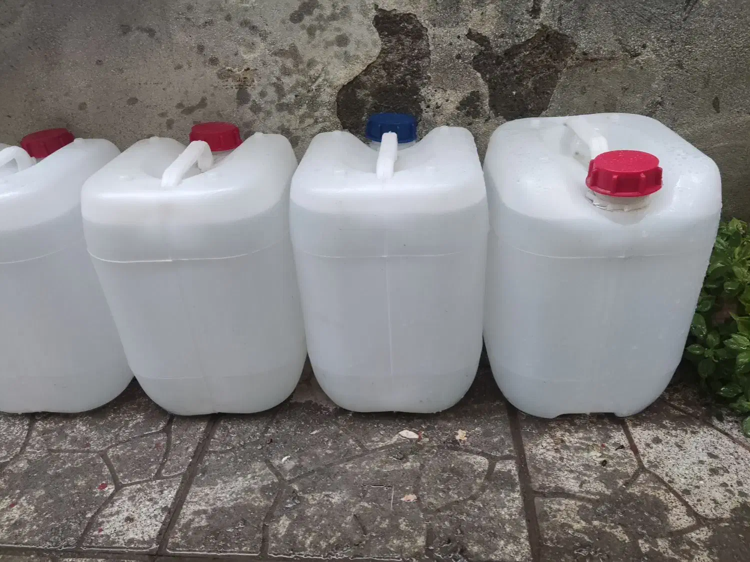 دبه ۲۰ لیتری|ظروف نگهدارنده، پلاستیکی، یک‌بارمصرف|تبریز, |دیوار