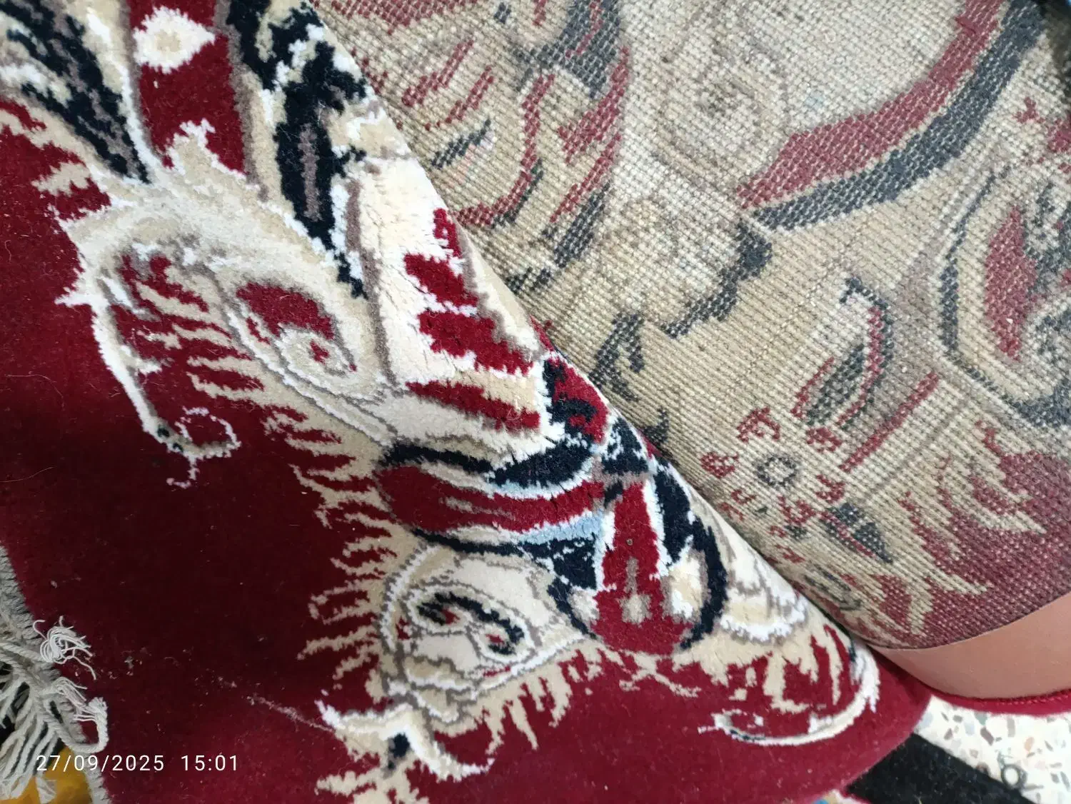 قالی دوازده متری|فرش|امیدیه, |دیوار