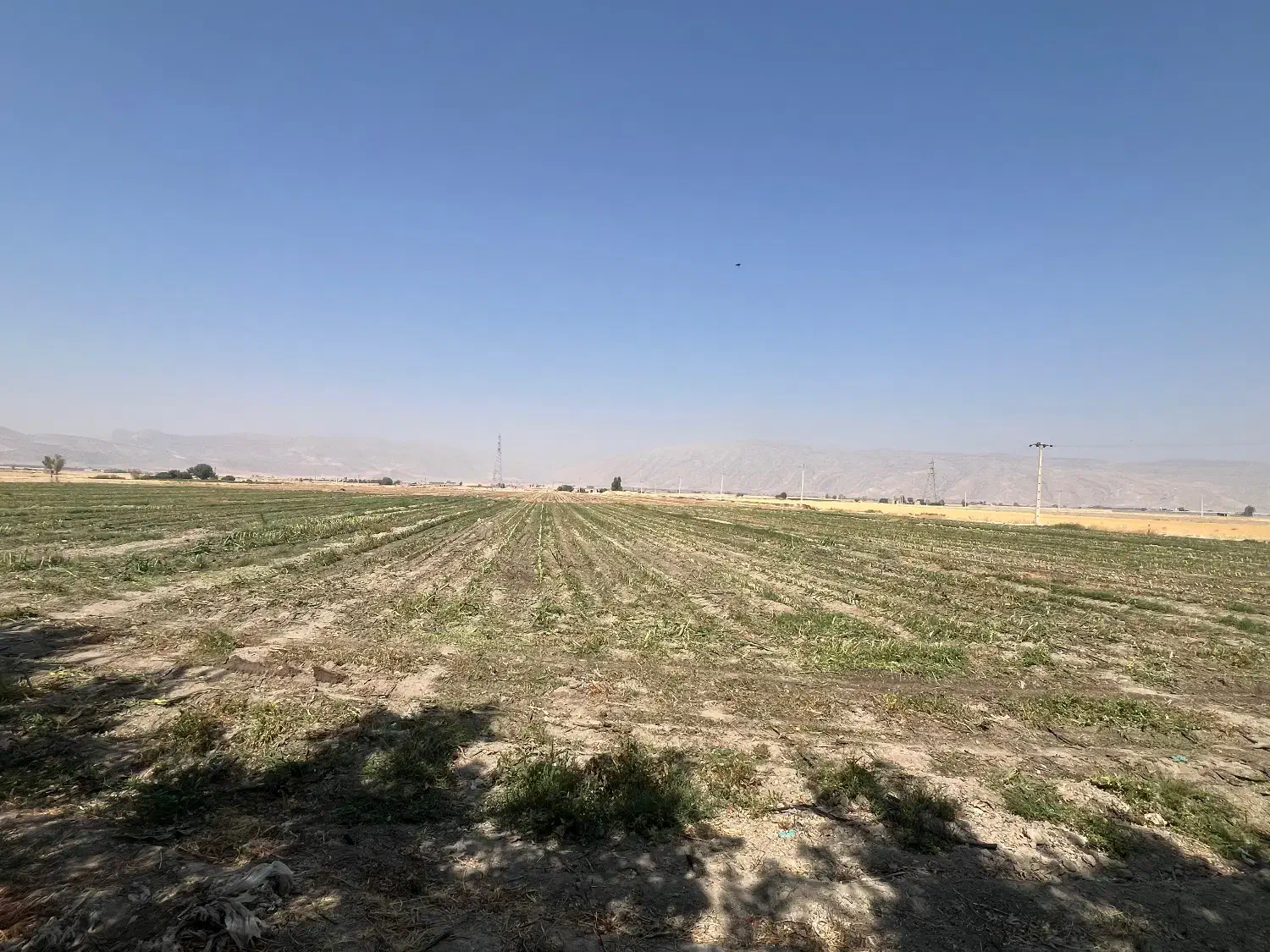 اجاره زمین کشاورزی|اجارهٔ دفتر صنعتی، کشاورزی، تجاری|فیروزآباد (فارس), |دیوار