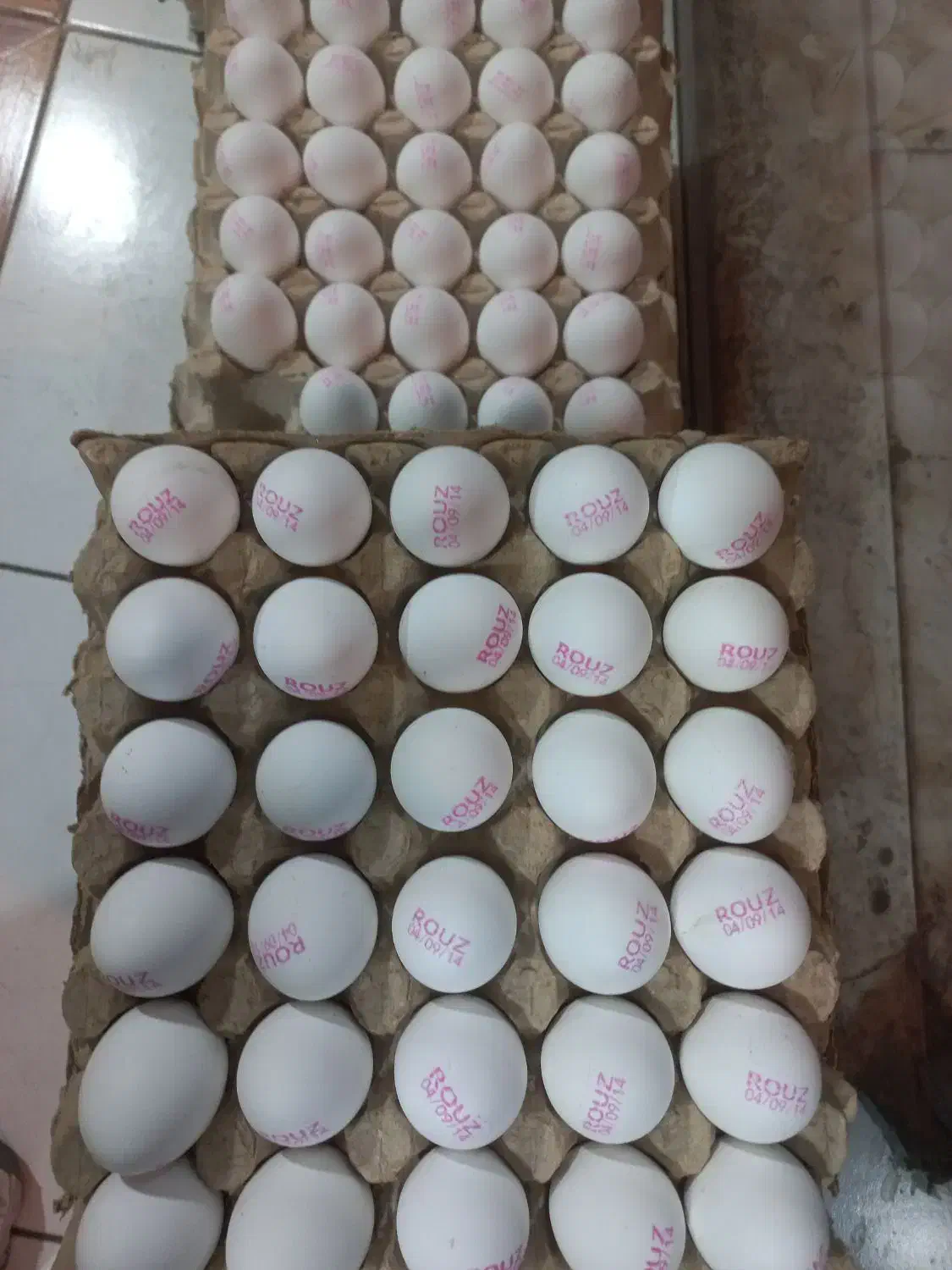 شغل فروشنده|استخدام خدمات فروشگاه و رستوران|اقبالیه, |دیوار