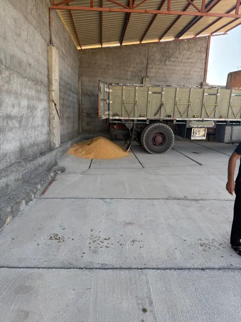 کارگر گاوداری|استخدام صنعتی، فنی، مهندسی|شهرکرد, |دیوار