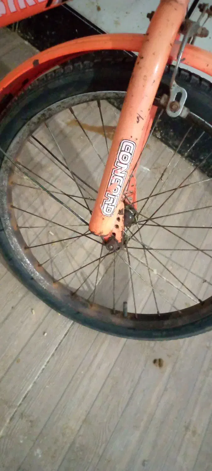 دوچرخه سایز ۲۰ دخترانه صورتی|دوچرخه، اسکیت، اسکوتر|گنبد کاووس, |دیوار