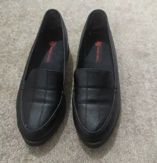 کفش زنانه شیک|کیف، کفش، کمربند|لاهیجان, شیشه گران|دیوار