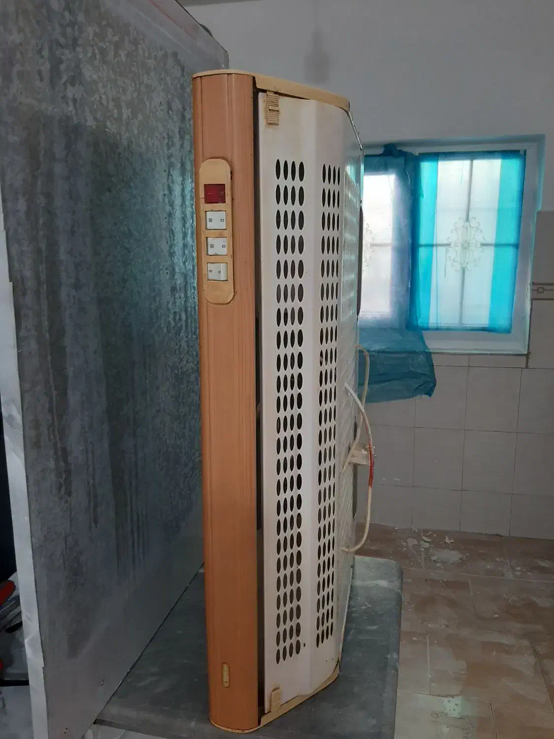 هود|هود|رشت, فلسطین|دیوار