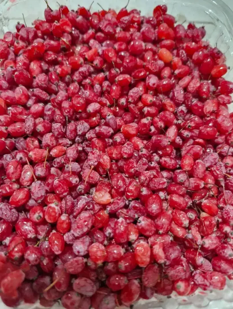 زرشک پفکی درجه ۱|خوردنی و آشامیدنی|رشت, چله خانه|دیوار