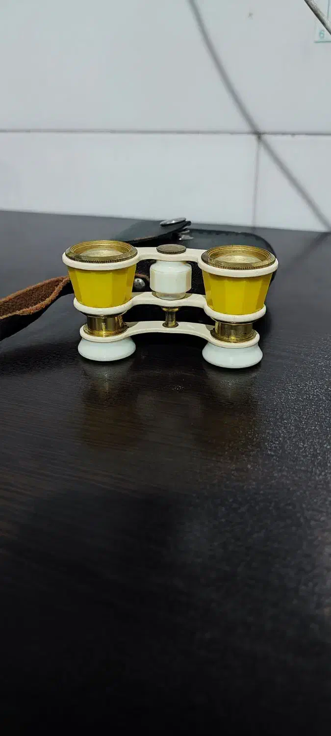 دوربین قدیمی|کلکسیون اشیاء عتیقه|یزد, |دیوار