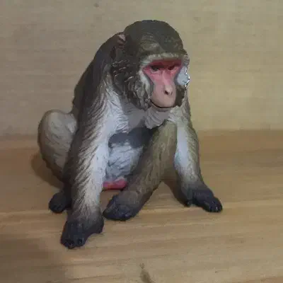 فیگور ماکاک ژاپنی برند کیتان کلاب ژاپن حیوانات|اسباب‌‌بازی|تهران, گلستان (شهرک راه آهن)|دیوار