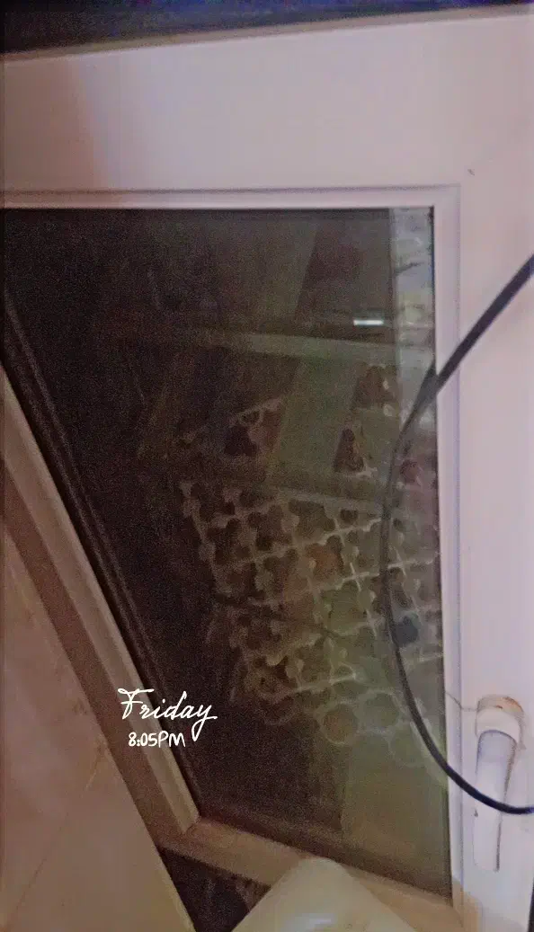 دستگاه جوجه کشی|ماشینآلات صنعتی|یزد, |دیوار