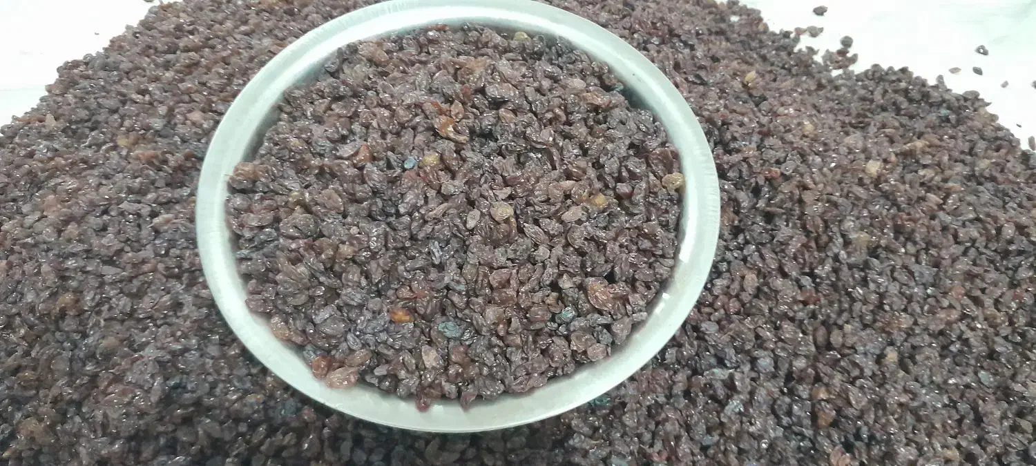 کشمش آفتابی سالم گوشتی|خوردنی و آشامیدنی|شهرکرد, |دیوار