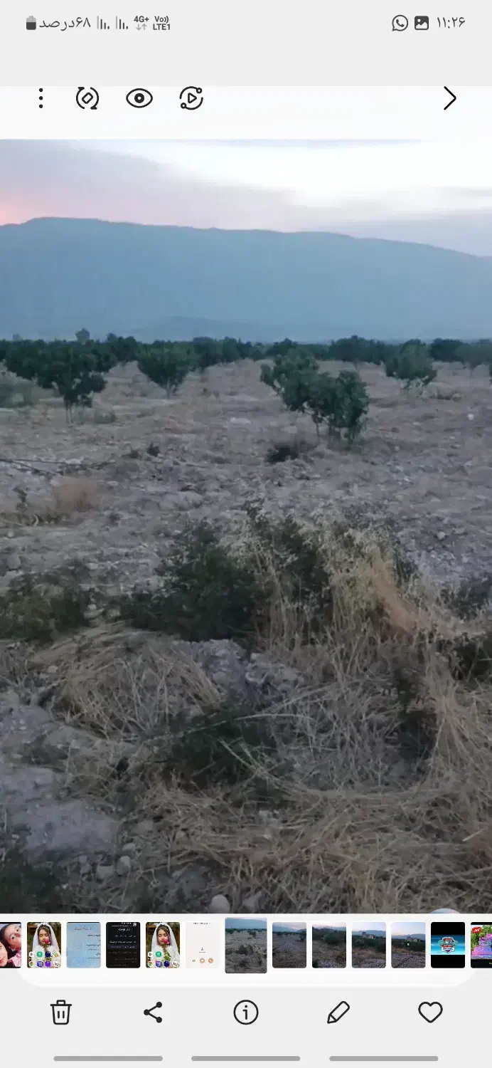 باغ انجیر میمند|فروش زمین و ملک کلنگی|میمند, |دیوار