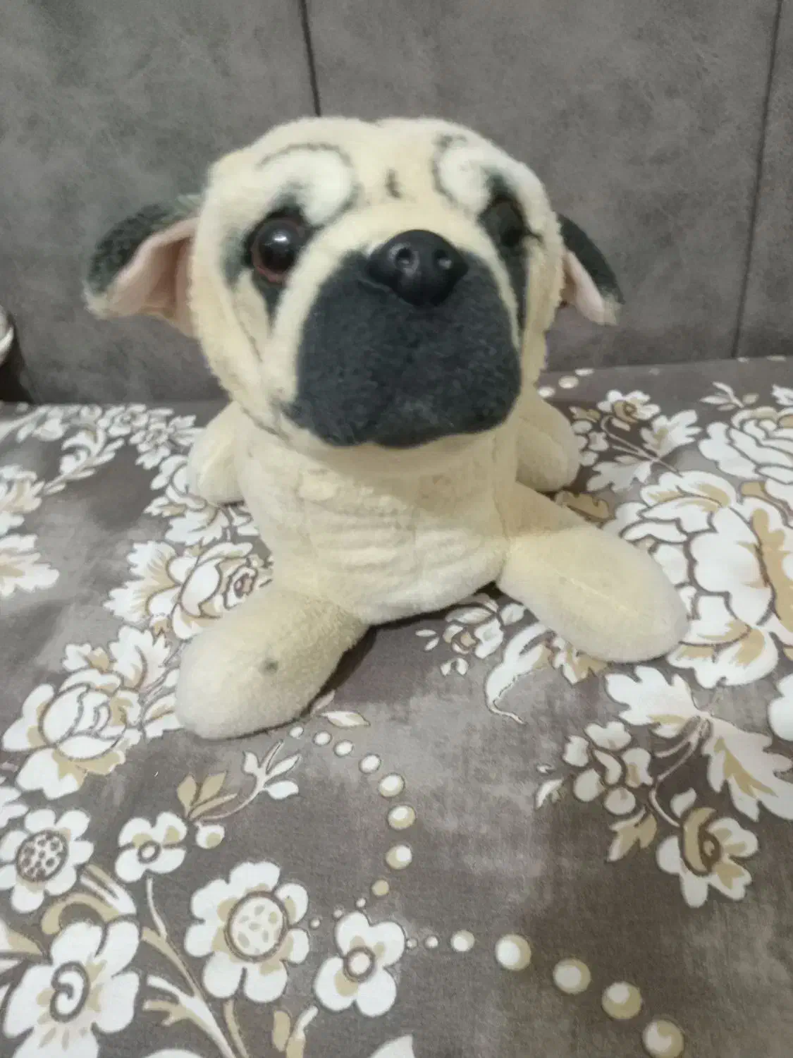 عروسک|اسباببازی بچه|گلبهار, شهر جدید گلبهار|دیوار