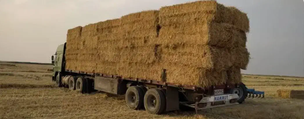 پرس گندم|ماشینآلات صنعتی|دوتپه, |دیوار