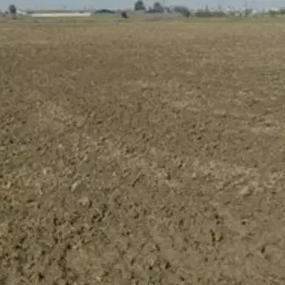 دو هکتار زمین|اجارهٔ دفتر صنعتی، کشاورزی، تجاری|میاندوآب, |دیوار