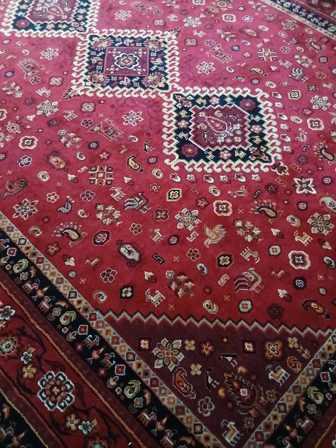 ۹متری فرش ۱۲متر  فرش|فرش|بندرعباس, |دیوار