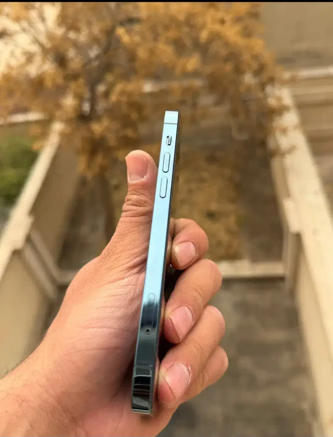 اپل 12pro پک اصلی 256g|موبایل|قزوین, |دیوار