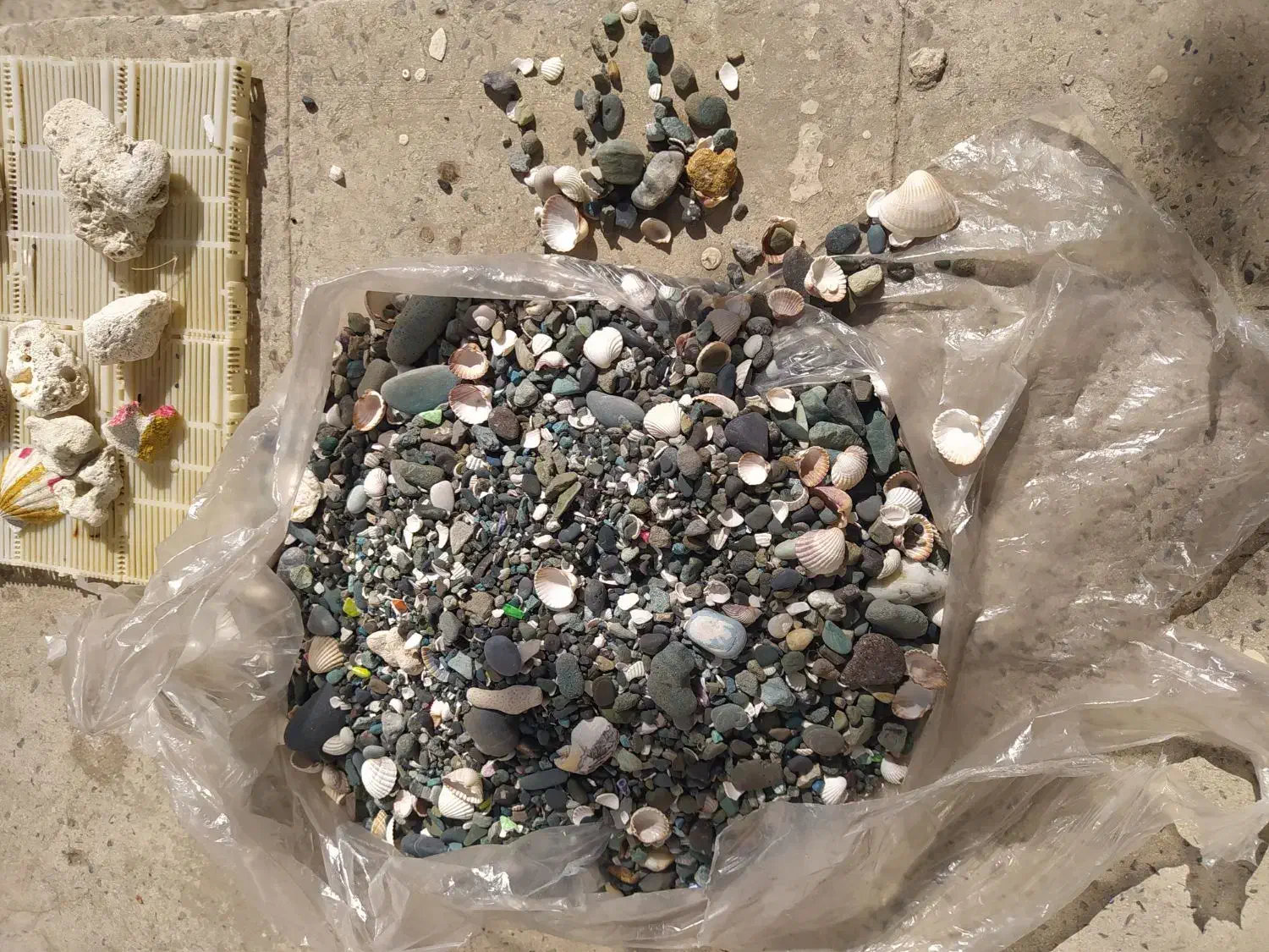 آکواریوم با وسایل|ماهی|کرج, شهرک بنفشه|دیوار