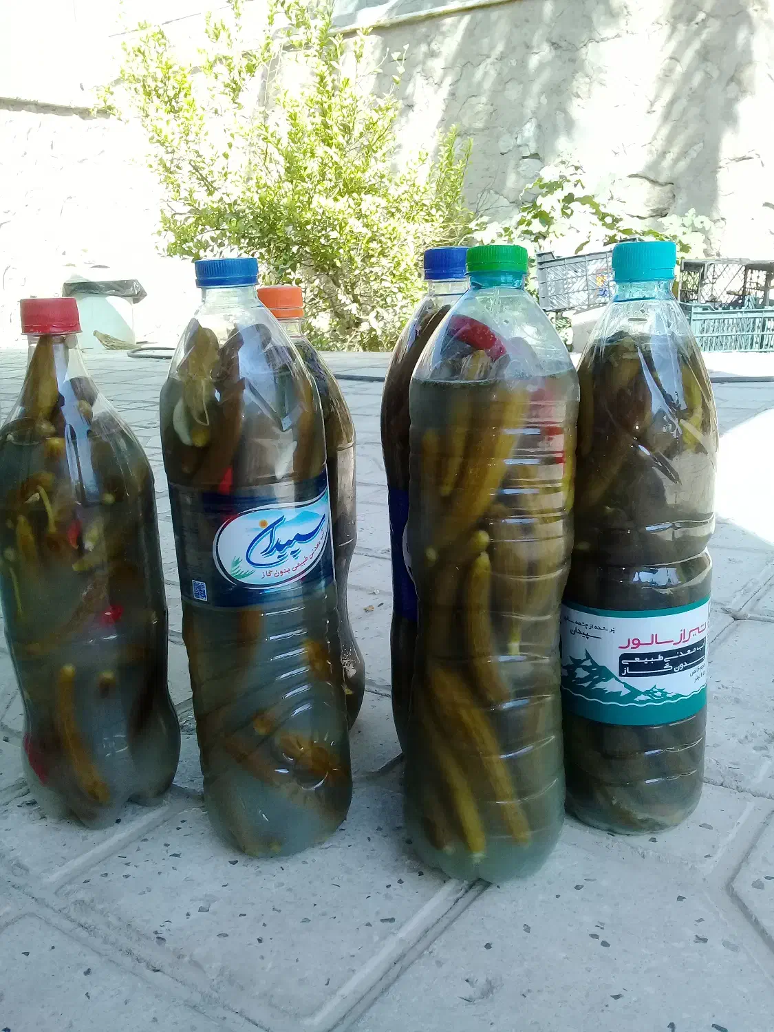 خیارشور خانگی|خوردنی و آشامیدنی|افزر, |دیوار