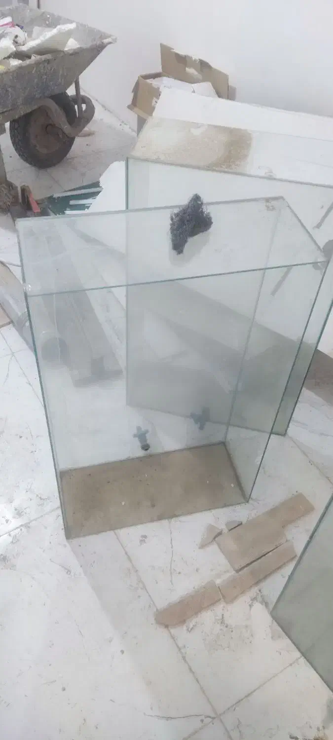 شیشه|ماهی|بیرجند, |دیوار