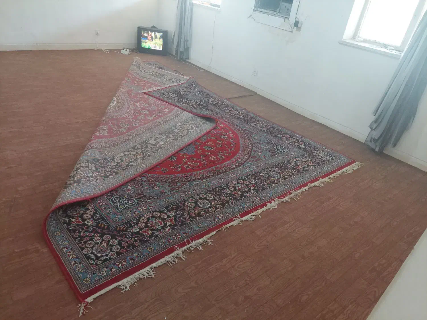 موکت|موکت|رامشیر, |دیوار