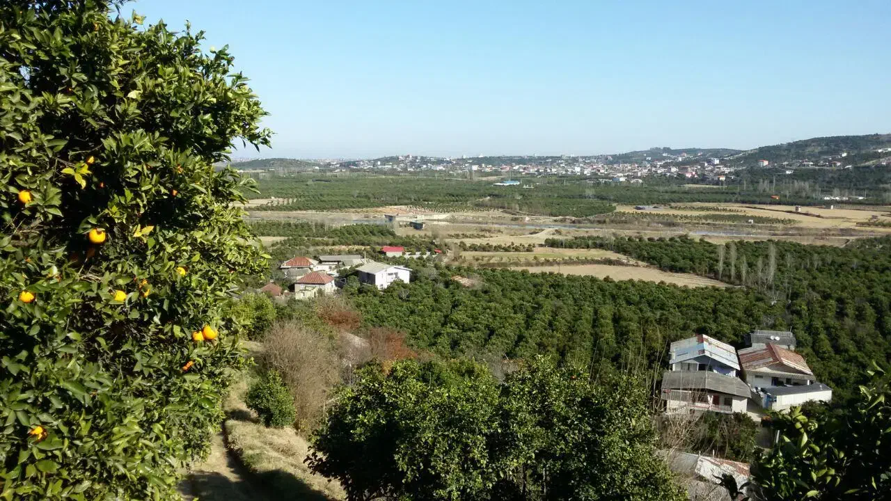 اجاره مسکن با ویوی ابدی|اجارهٔ خانه و ویلا|مرزیکلا, |دیوار