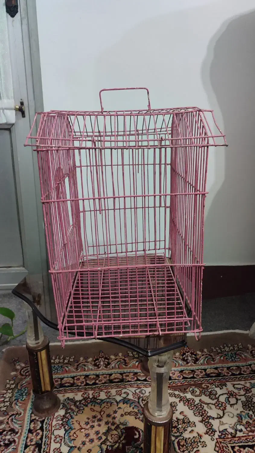 قفس کوچک پرنده|لوازم جانبی حیوانات|بهشهر, |دیوار