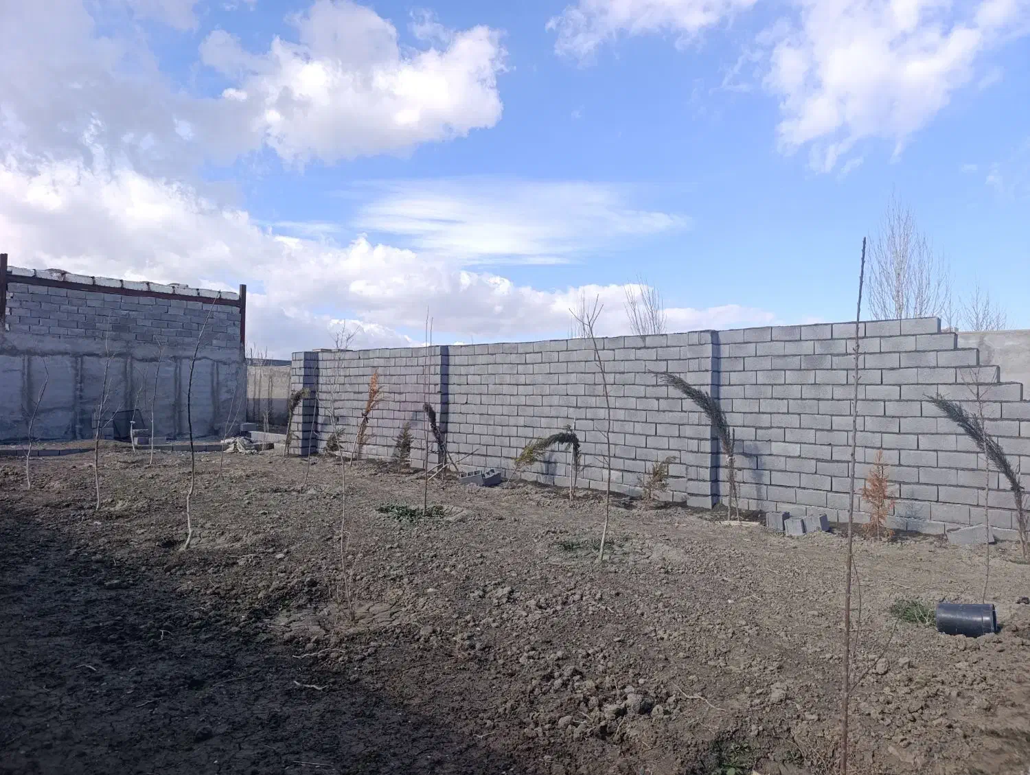 بنایی|خدمات پیشه و مهارت|مشهد, کلاته برفی|دیوار