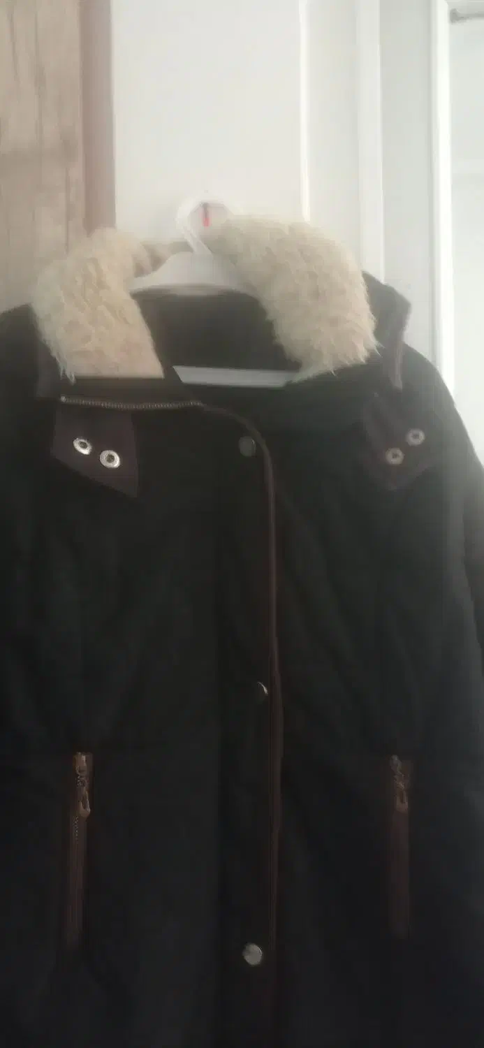 کاپشن زنانه در حد نو|لباس|اشتهارد, |دیوار