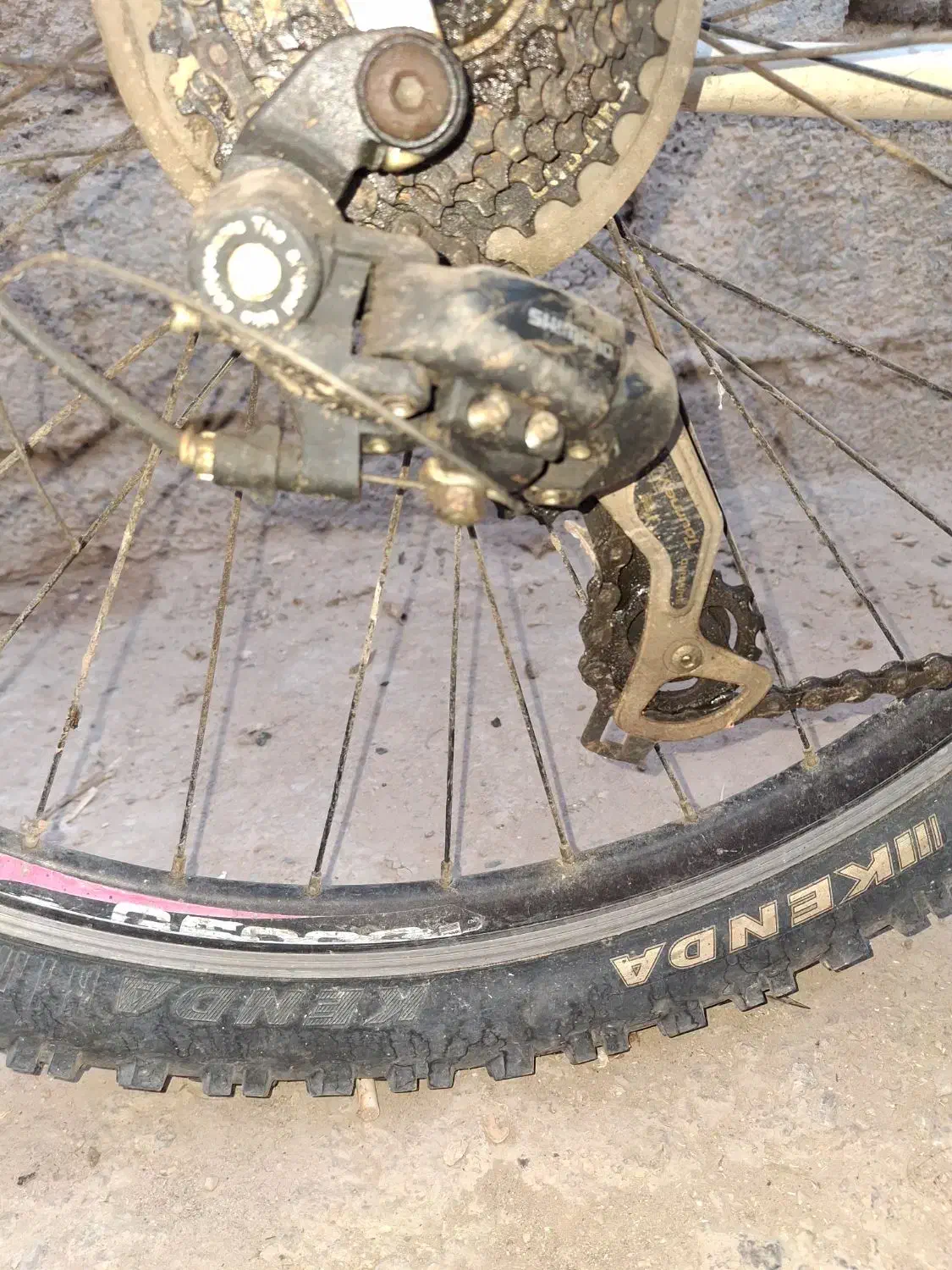 دوچرخه 26 ویوا شارپ|دوچرخه، اسکیت، اسکوتر|برازجان, |دیوار