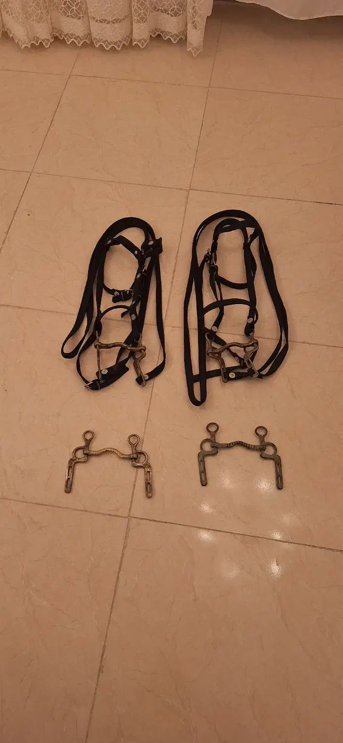 دهنه اسب قدیمی|اسب و تجهیزات اسب‌سواری|اردبیل, |دیوار