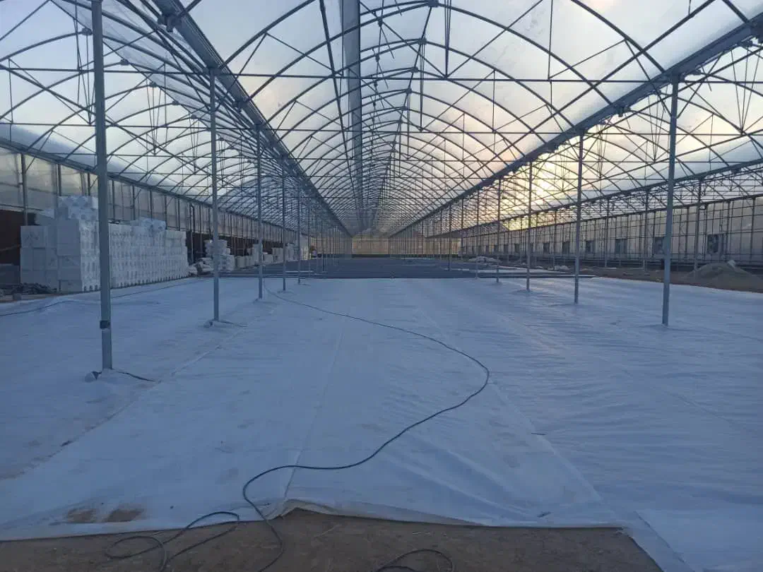 تعمیرات و نصب  گلخانه فلزی اسپانیایی و معمولی|خدمات پیشه و مهارت|نجف‌آباد, حومه نجف آباد|دیوار