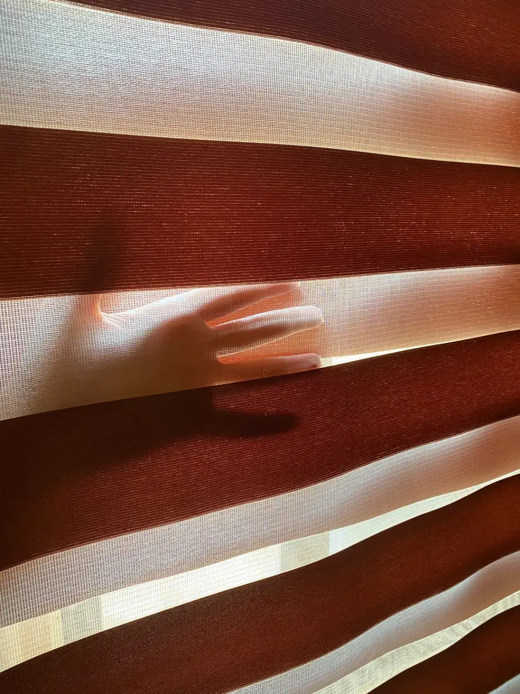 پرده زبرا در حد نو|پرده، رانر، رومیزی|سیرجان, |دیوار