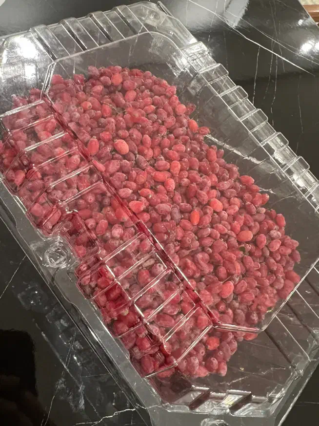 زرشک دانه اناری تازه قاینات|خوردنی و آشامیدنی|مشهد, کوشش|دیوار