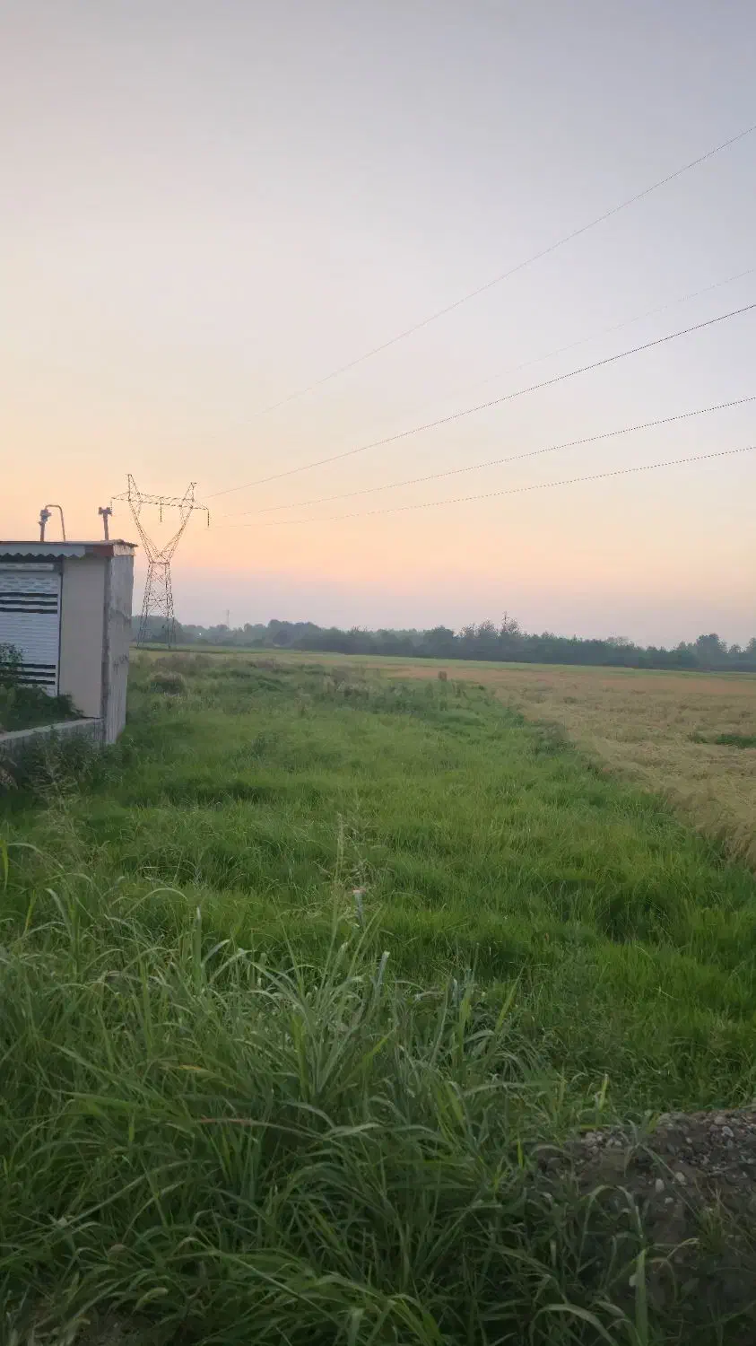 ۱۳۰۰متر زمین شهری لولمان فقط متری یک میلیون|فروش زمین و ملک کلنگی|لولمان, |دیوار