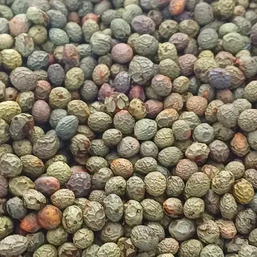 پسته بنه کوهی|خوردنی و آشامیدنی|مشهد مرغاب, |دیوار