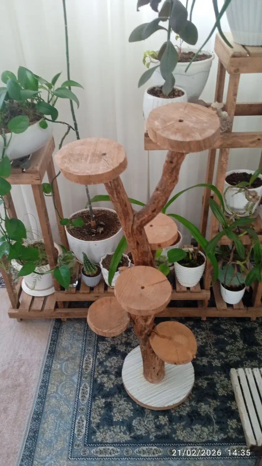 استند|گل و گیاه طبیعی|بیرجند, |دیوار