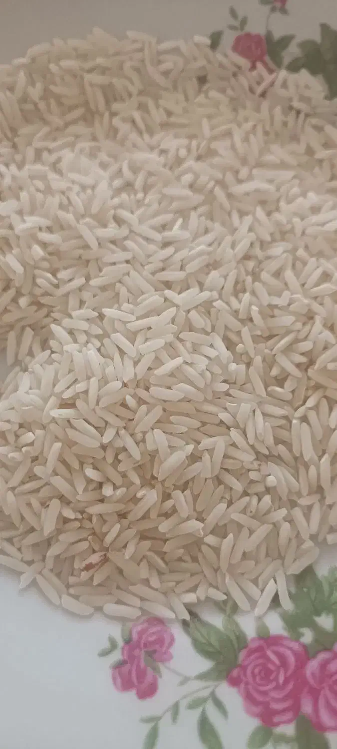 برنج|خوردنی و آشامیدنی|ایلام, |دیوار
