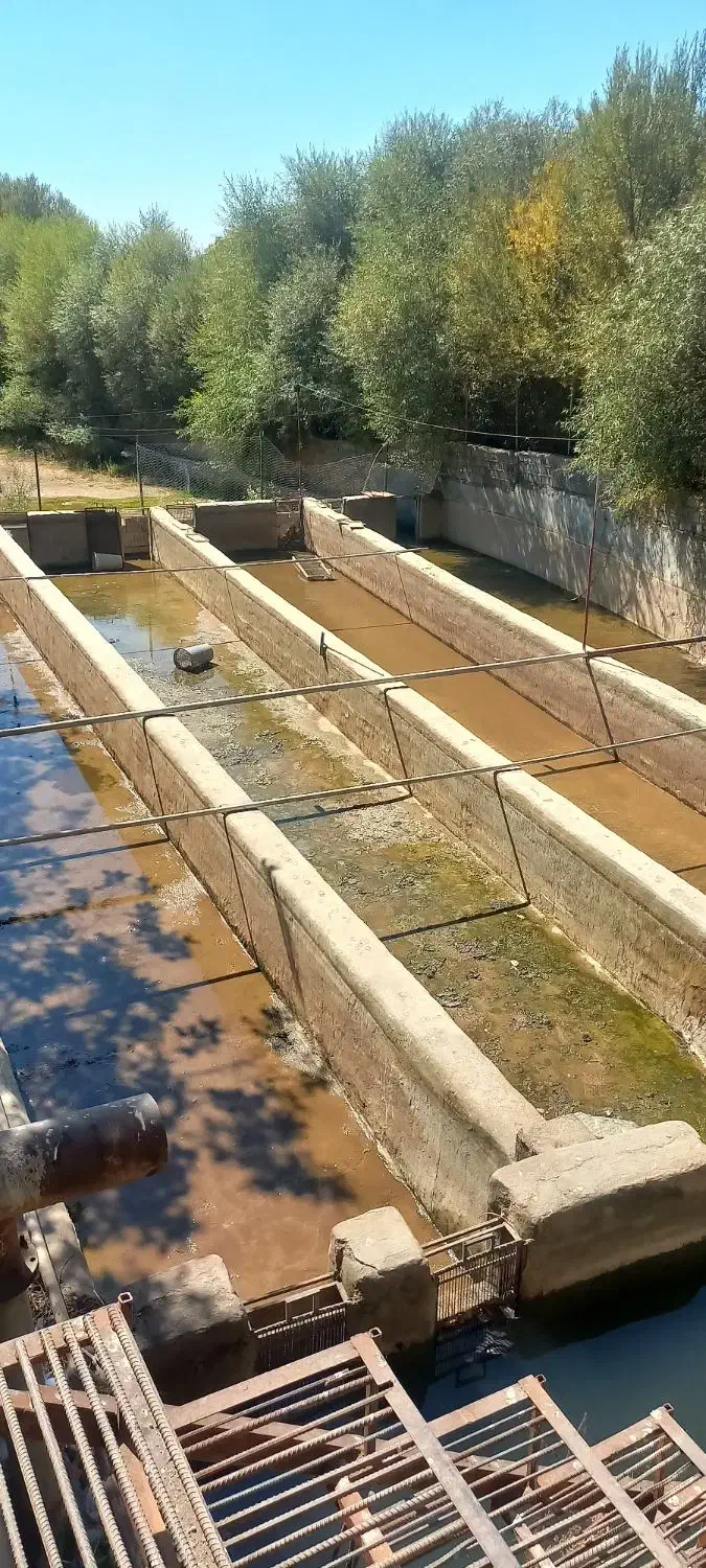 اجاره پرورش ماهی ۱۵تنی...|اجارهٔ دفتر صنعتی، کشاورزی، تجاری|الشتر, |دیوار